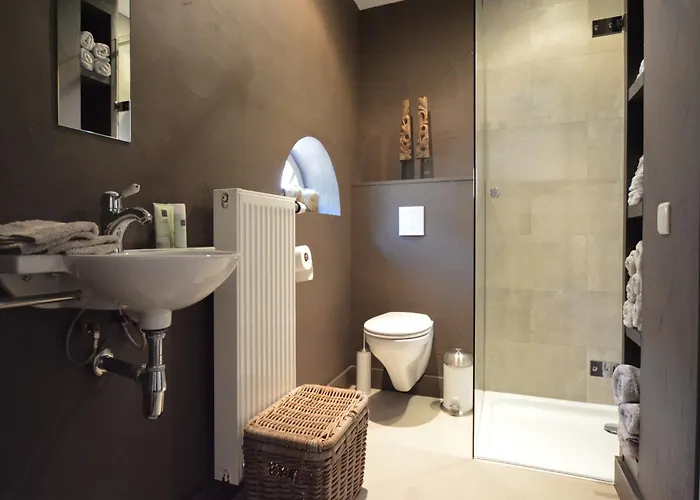 Group With Private Pool And Sauna Holiday home Alphen (North Brabant)