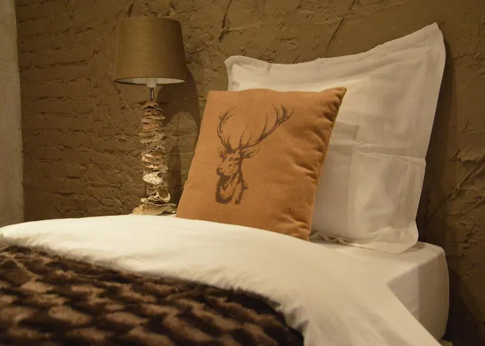 Holiday home Group With Private Pool And Sauna Alphen (North Brabant)